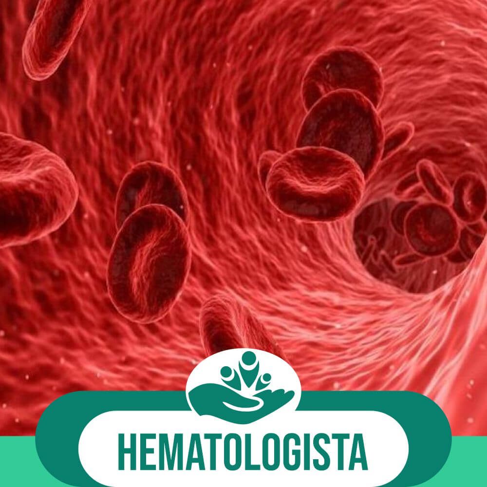 No momento, você está visualizando Hematologista